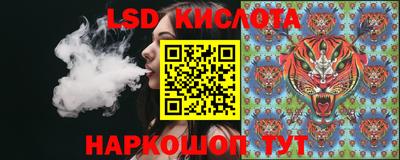 твердый Новодвинск