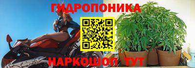гидропоника Новокубанск