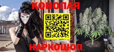 твердый Новодвинск