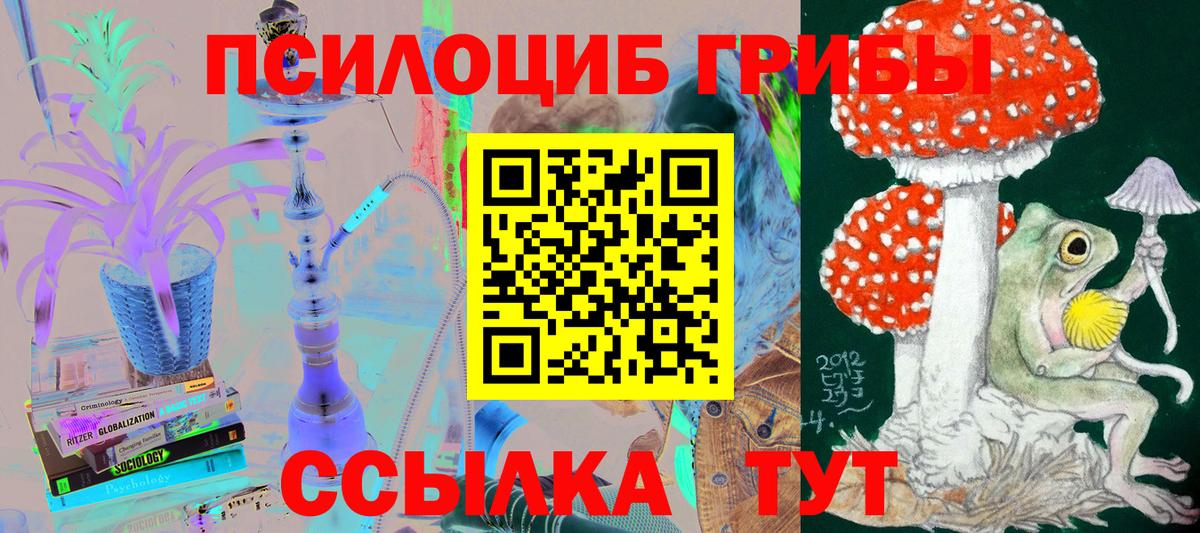 Сафоново  Галлюциногенные грибы прущие грибы  Вход с VPN 