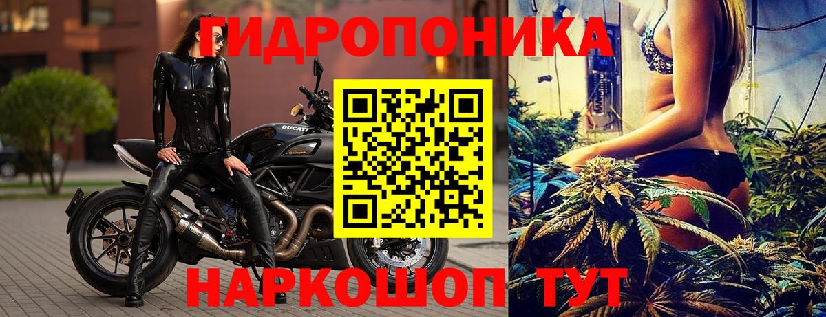 Сафоново  Марихуана ГИДРОПОН  Каннабис OG Kush  Вход с VPN  Марихуана SATIVA & INDICA 